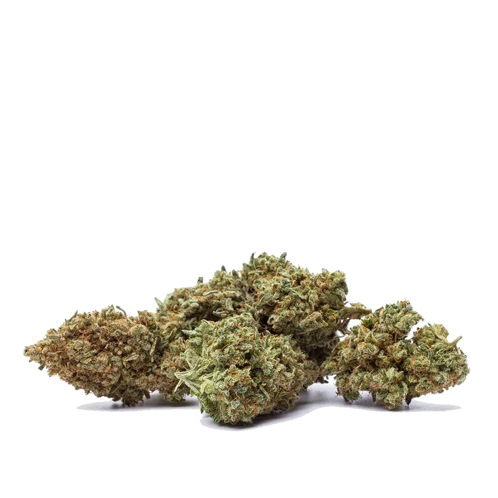 Kosher Kush, photo 3