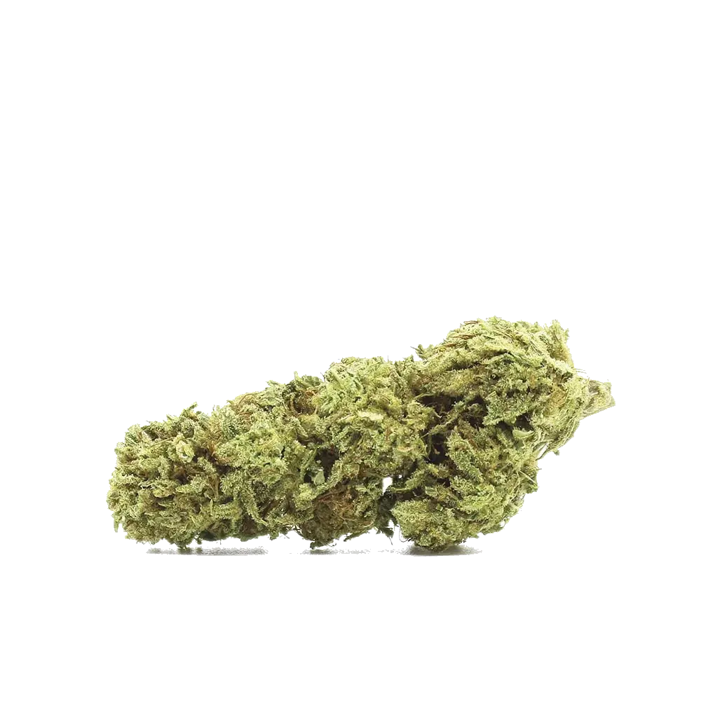 Lemon Haze, photo 3