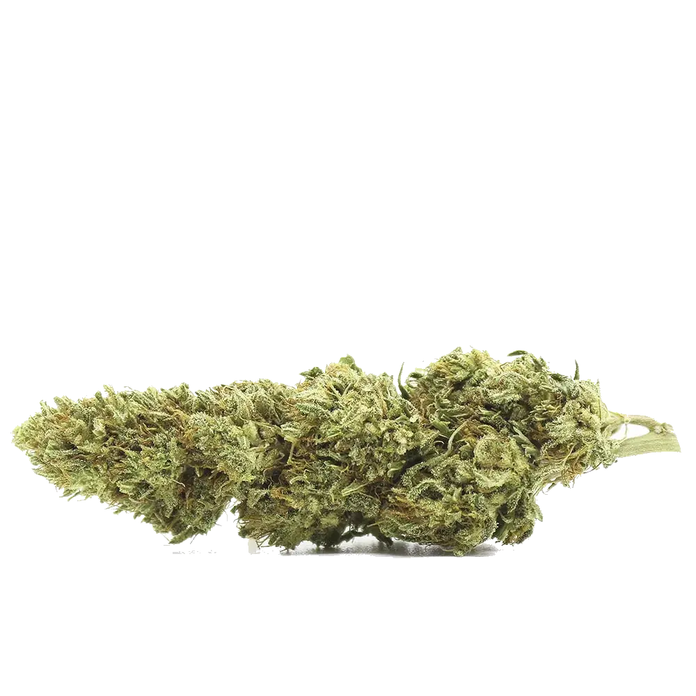 Lemon Haze, photo 2