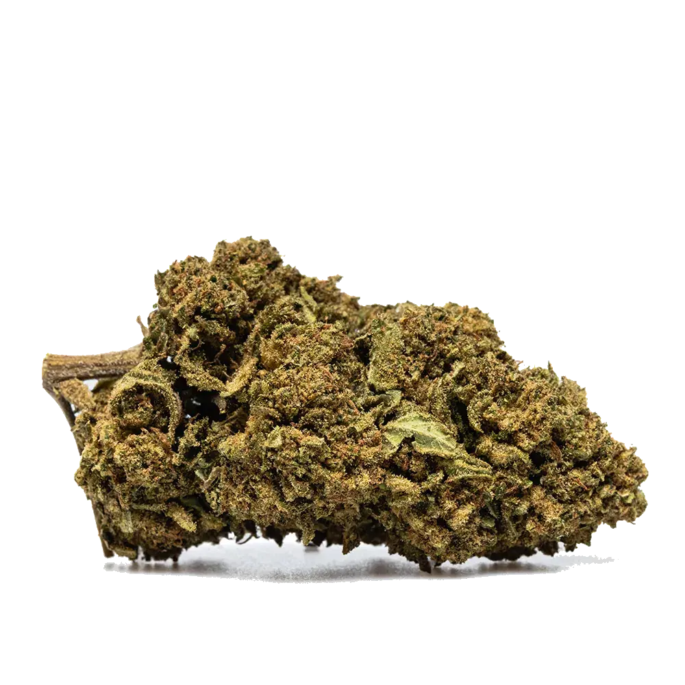 Skywalker Og, photo 2