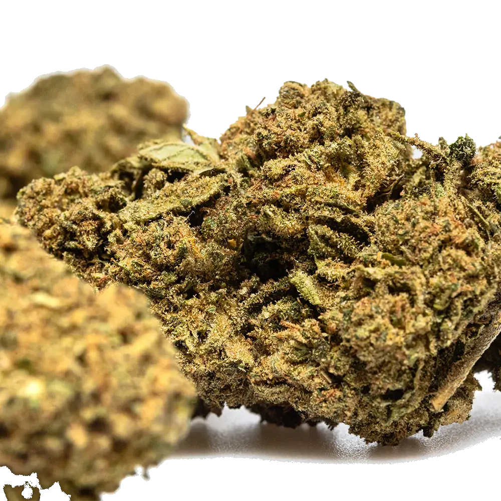 Skywalker Og, photo 4