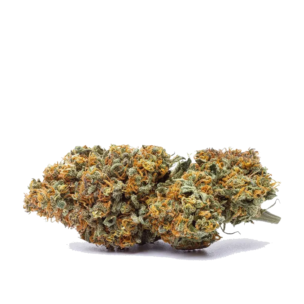 Strawberry Shortcake