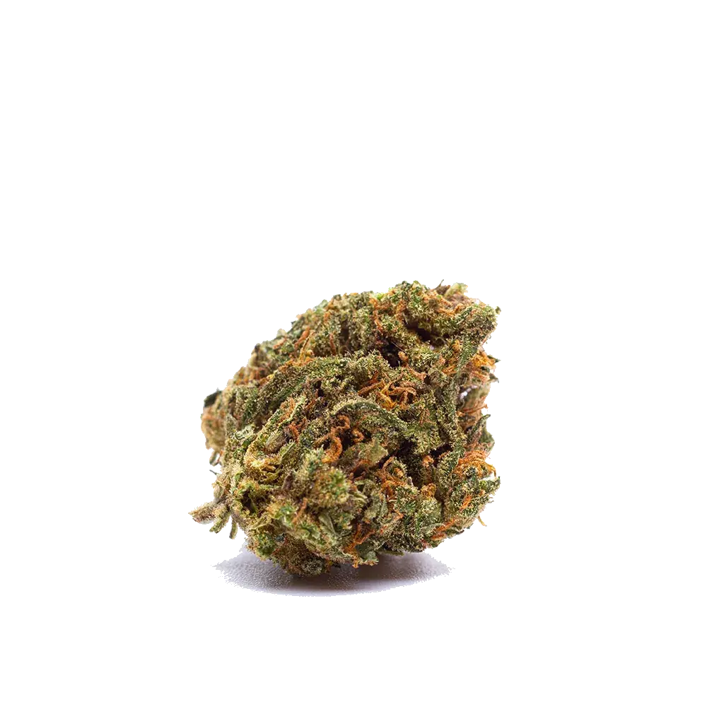 Triple Cheese, photo 2